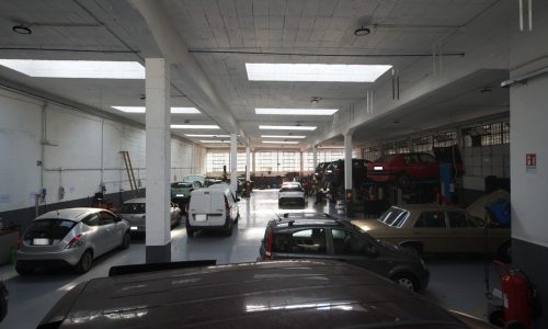 i__DSC0047